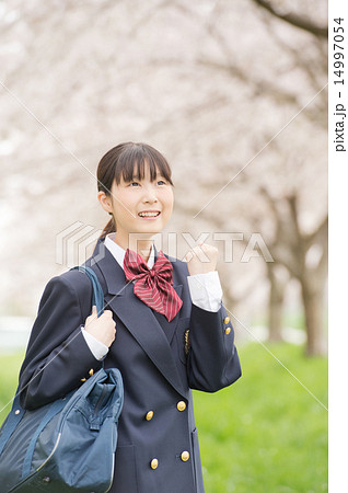 サクラと学生 サクラと学生 14997054