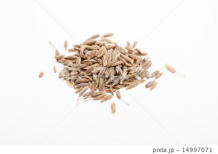 クミン 14997071