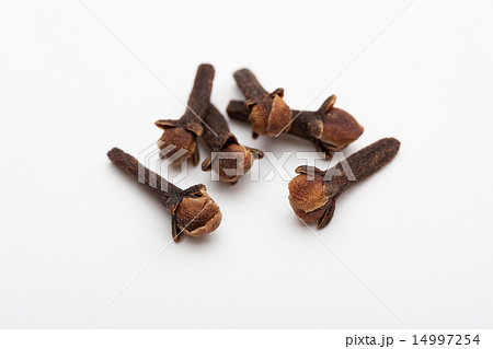 クローブ クローブ 14997254