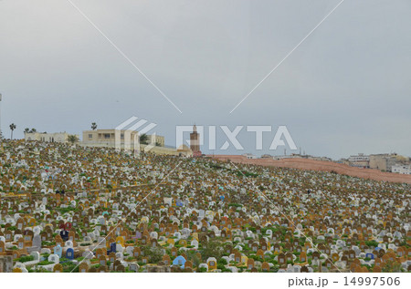 首都ラバトのイスラム教徒の墓地 首都ラバトのイスラム教徒の墓地 14997506