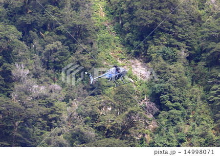 ミルフォード・サウンド 14998071