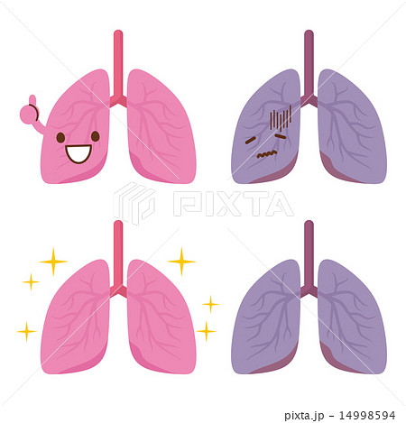 肺 イラストのイラスト素材