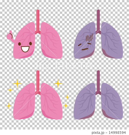 肺　イラスト 14998594