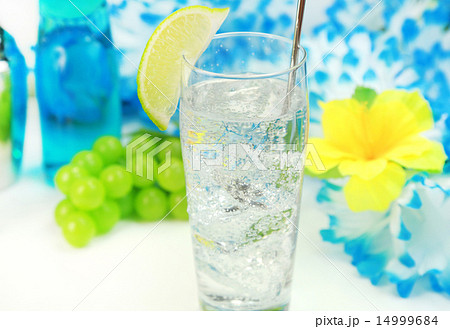 ジントニック 14999684