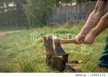 Firewood and old axe 15001173
