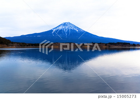 田貫湖に映る逆さ富士 田貫湖に映る逆さ富士 15005273
