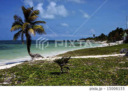 cabin boats and palm in the sian kaan blue lagoon 15006155