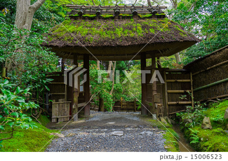 祇王寺の日本庭園 15006523