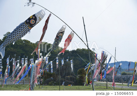 野母崎 野母崎 15006655