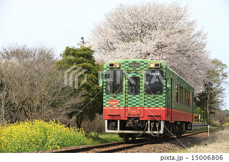春の真岡鉄道 15006806