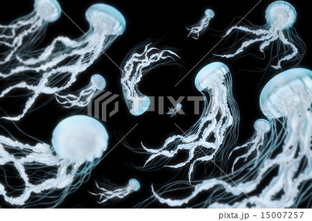 CGのクラゲ CGのクラゲ 15007257