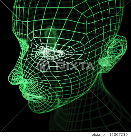 ワイヤーフレームの頭部模型のイラスト素材