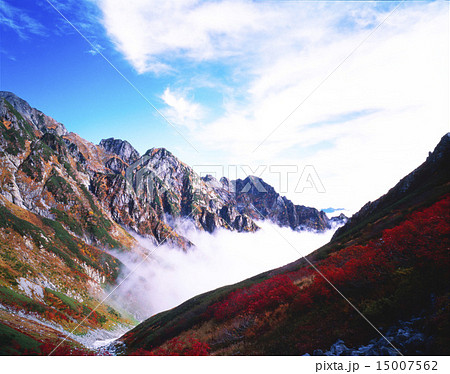 剣沢紅葉 剣沢紅葉 15007562