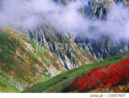 剣沢と紅葉 剣沢と紅葉 15007697