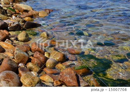 鳥取県　城原海岸の波打ち際 15007708