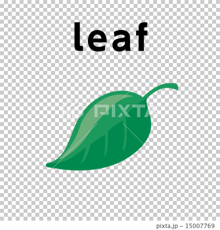 英語單詞1 _ ice _ 12/25 15007769