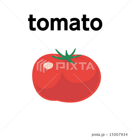 英単語1_トマト_23/25のイラスト素材 [15007934] - PIXTA