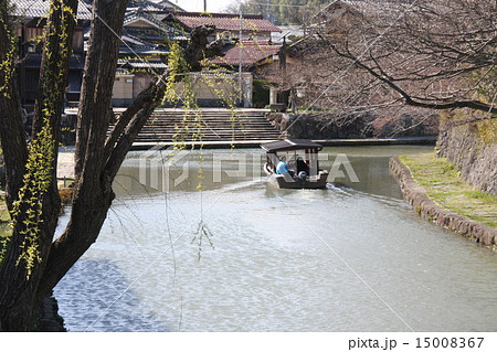 春の八幡掘 15008367