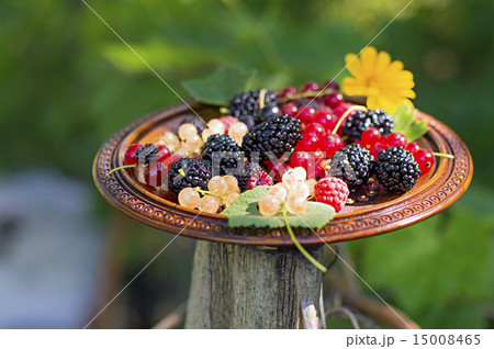 Plate with fresh berries 15008465