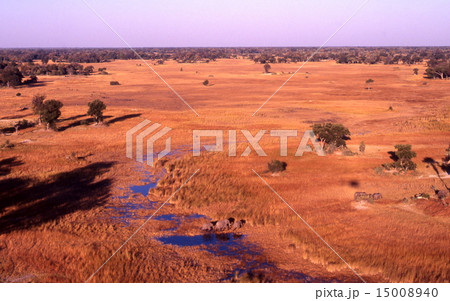 オカバンゴ・デルタ　空撮 15008940