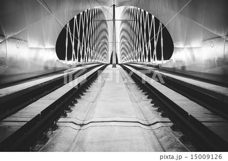 night view of Troja bridge, Prague night view of Troja bridge, Prague 15009126