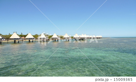 ニューカレドニア ニューカレドニア 15009365