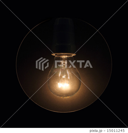 Bulb 15011245