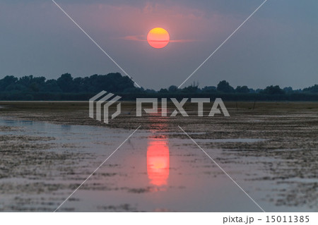 sunset in the Danube Delta sunset in the Danube Delta 15011385