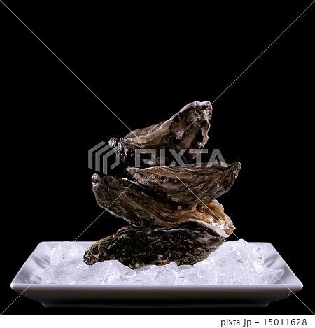 Four oyster shell on ice as balance stack 15011628