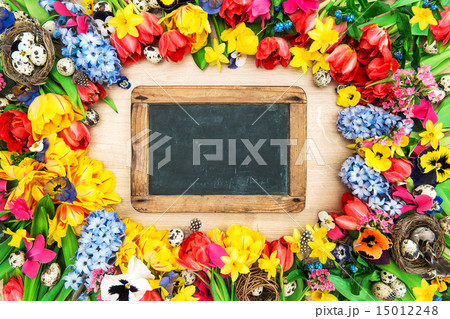 Spring flowers and easter eggs. Tulips, narcissus 15012248