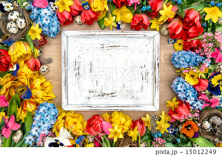 Holidays background spring flowers, easter eggs 15012249