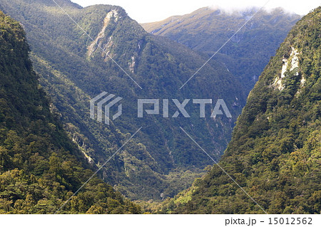 フィヨルドランド国立公園 フィヨルドランド国立公園 15012562