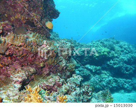 Underwater Landscape Rocky In Yonaguni Island Stock Photo
