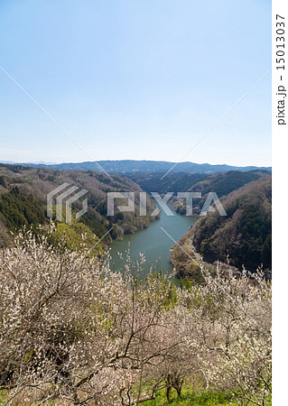 月ヶ瀬梅林からの名張川 15013037