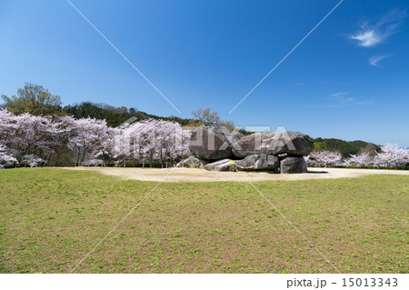 桜季節の石舞台古墳 15013343