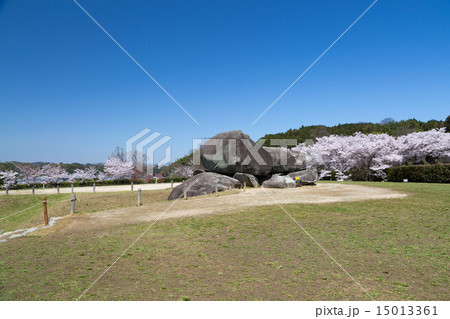 桜季節の石舞台古墳 15013361