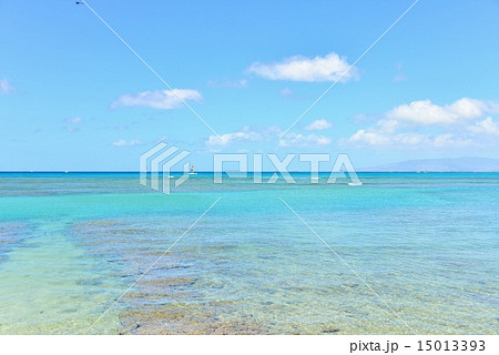 ハワイの休日 ハワイの休日 15013393