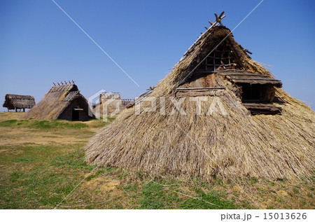 むきぱんだ史跡公園 むきぱんだ史跡公園 15013626