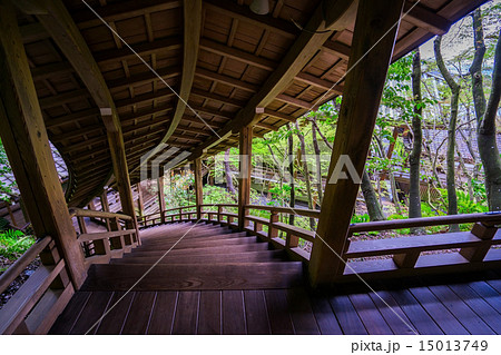 京都 永観堂 京都 永観堂 15013749