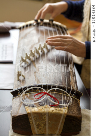 文化箏を弾く 文化箏を弾く 15014334