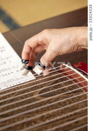 文化箏を弾く 15014338