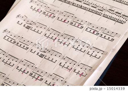 文化箏の譜面 15014339
