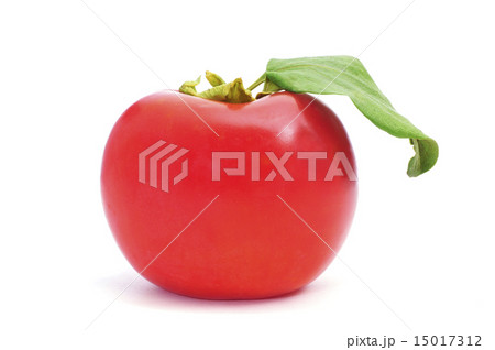 persimmon fruit 15017312