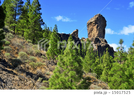 Roque Nublo monolith in Gran Canaria, Spain 15017525