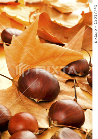 chestnuts 15017741