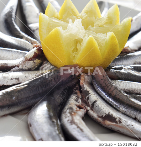 raw spanish boquerones, anchovies typical in Spain 15018032