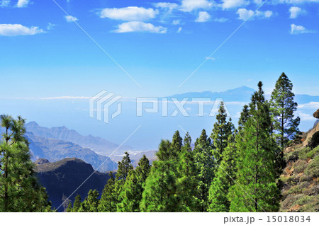 Tenerife Island and Mount Teide seen from the Llano del Roque Nu Tenerife Island and Mount Teide seen from the Llano del Roque Nu 15018034