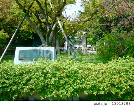 国立天文台 正門 国立天文台 正門 15018298