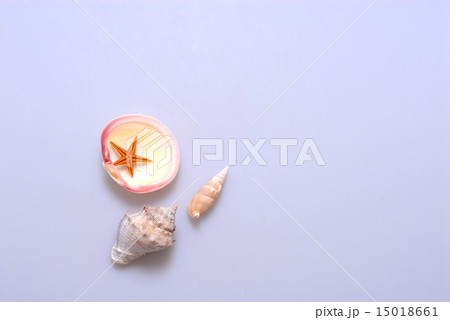 ヒトデと貝殻.グレイシャーグレーのバック. ヒトデと貝殻.グレイシャーグレーのバック. 15018661