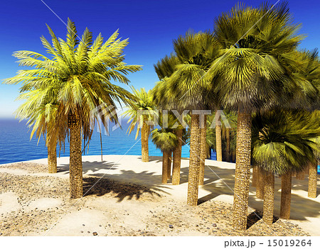 Lush oasis landscape on desert 15019264